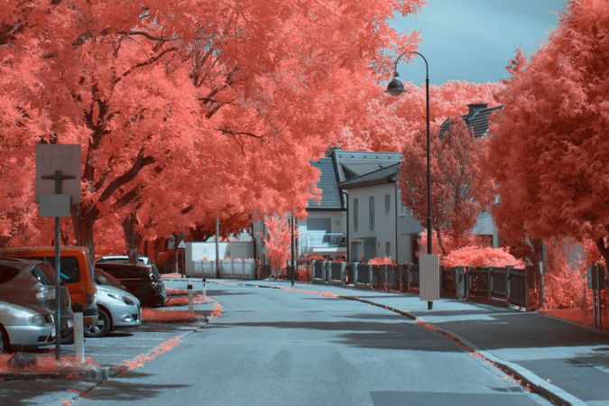 Infrared suburban street in town