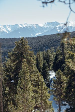 Picturesque view of peaks of mountains in snow and forest