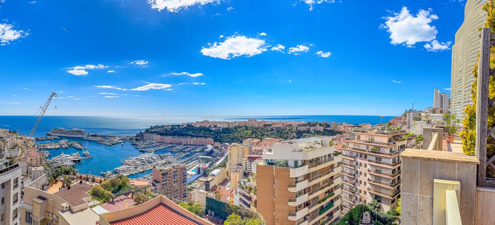 Panoramic view of Monaco, the Port Hercules and Le Rocher