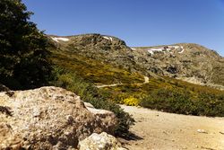 Picturesque landscape of green mountains in summer