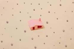 Pink house with virus cells