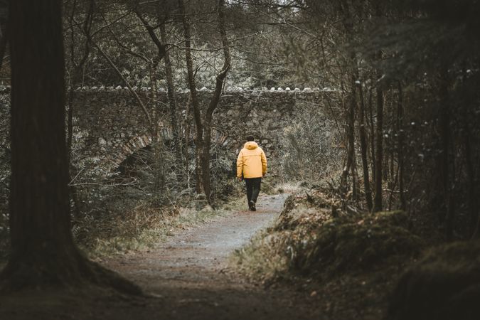 Tourist walking on footpath in forest park
