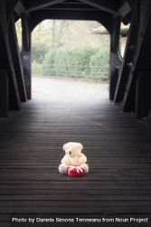 Stuffed toy and gift in a wooden tunnel 4jM385