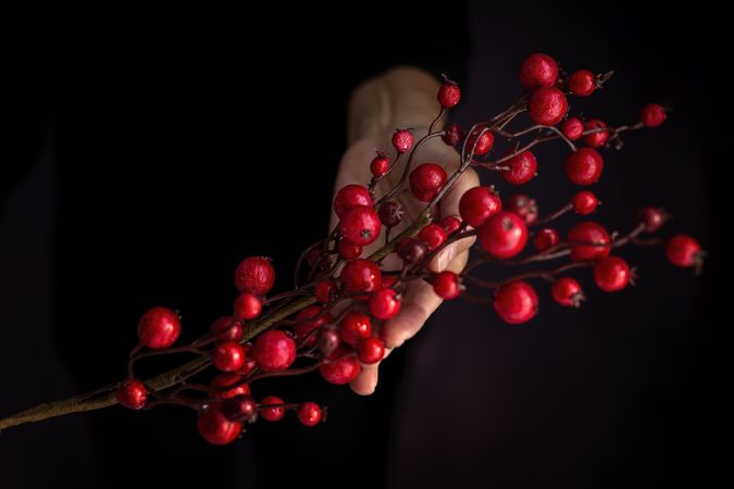 Crop person with handmade berries
