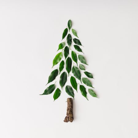 Christmas tree made of leaves and branch