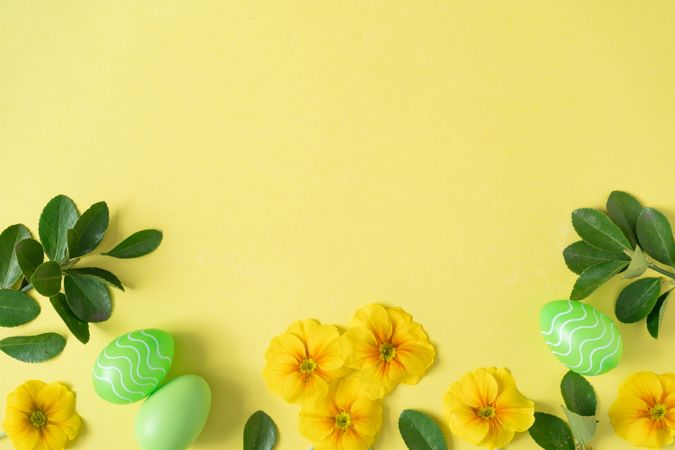 Yellow flowers and green Easter eggs on yellow background