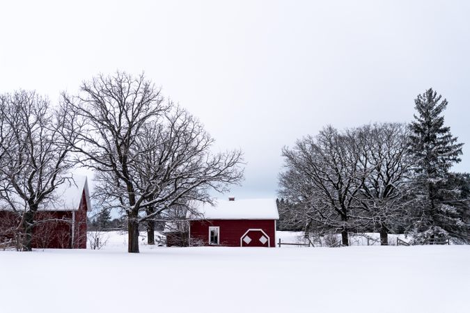 A wintry farm with red barn buildings