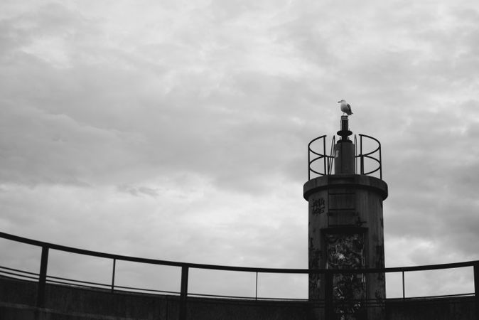 Bird on top of lighthouse