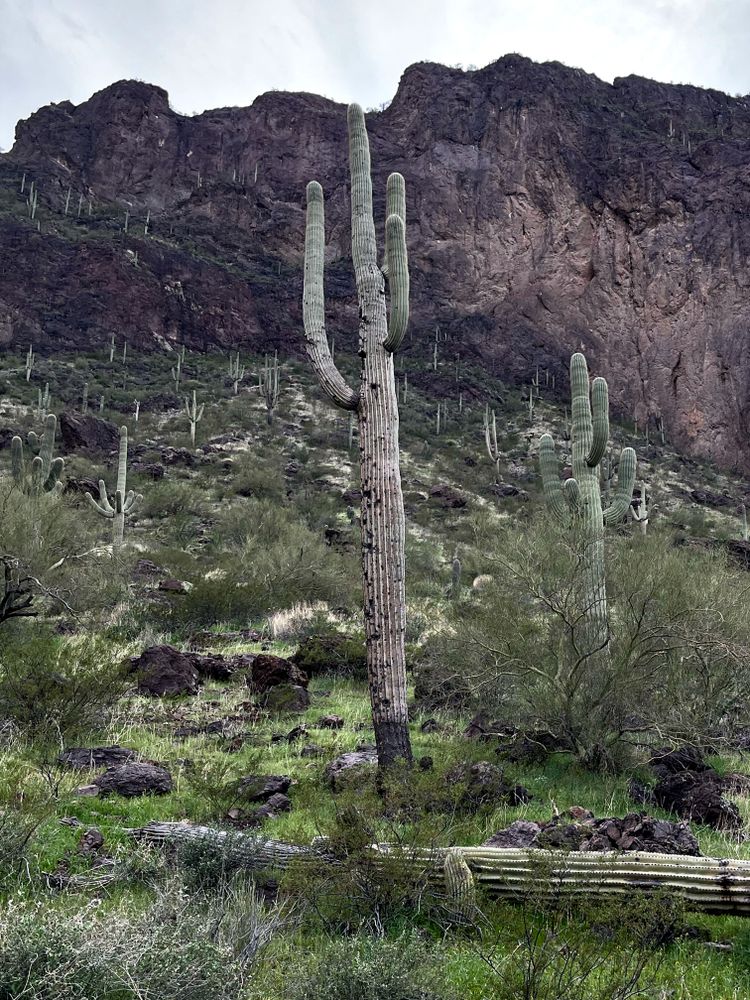 Hiking Arizona