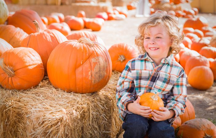 Cute Young Boy Having Fun at the Pumpkin Patch on a Sunny Fall Day..