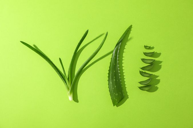 Aloe vera leaves and slices on color background, space for text. Natural treatment