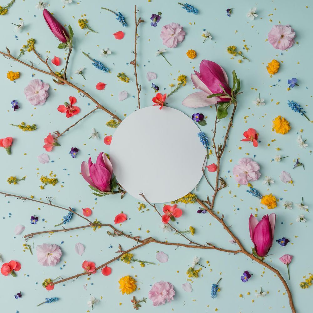 Pattern made of colorful spring flowers on blue background