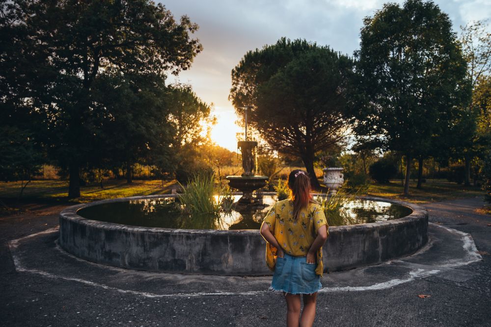 Female admiring sunset in park