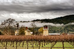Napa Valley home with vineyards on a cloudy gray day 1bEPV4