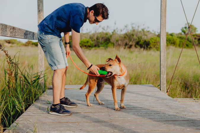 Happy adult man playing with dog at countryside