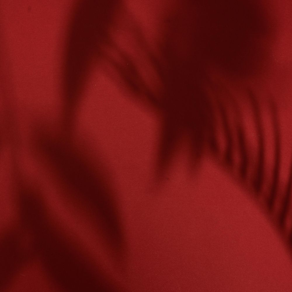 Top view of tropical leaf shadow on red background