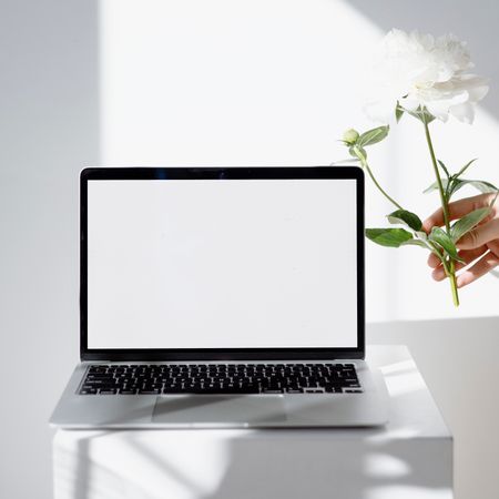 Laptop mockup with flower