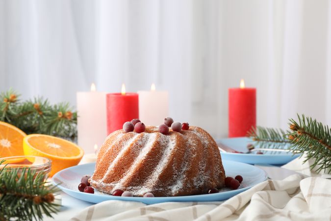 Cake with powder sugar and cranberry on table. Christmas concept