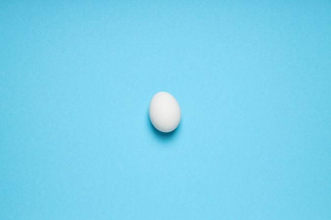egg on blue background, space for text