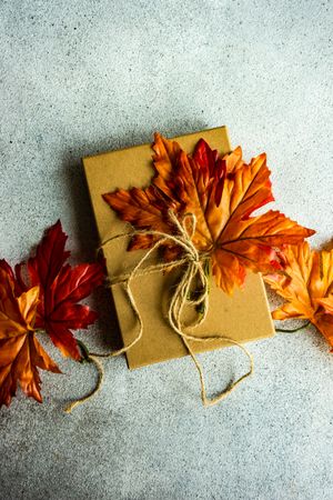 Giftbox wrapped with string and scattered autumn leaves