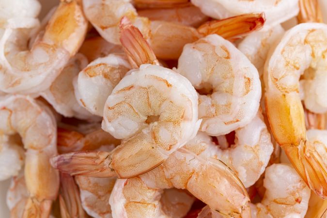 Fresh raw prawns