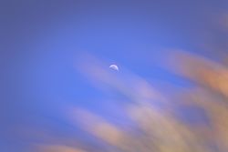 Crescent moon in clear blue sky