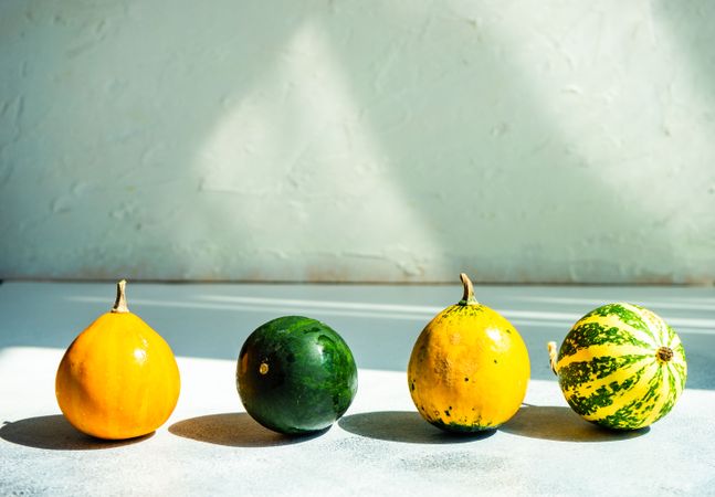 Side view of colorful mini squash in row on sunny counter