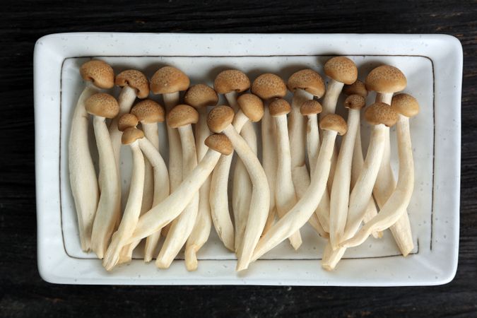 Shimeji Brown Mushroom on Japanese Square Plate