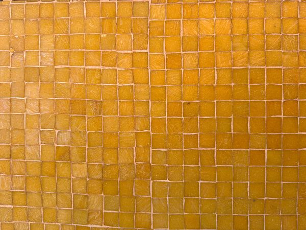 Yellow Mosaic