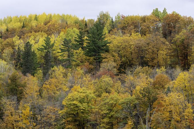 View from Grand Portage Trail in Jay Cooke State Park, Minnesota