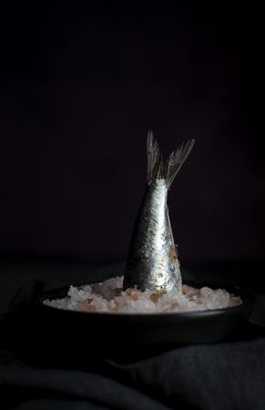 Tail of sardine in plate with salt