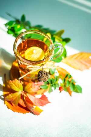 Autumnal tea with slice of lemon and colorful leaves