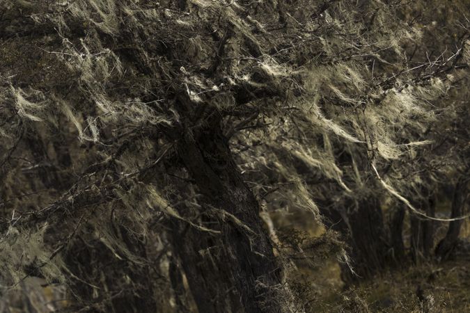 Jagged rocky crevices in rocky wild mountains