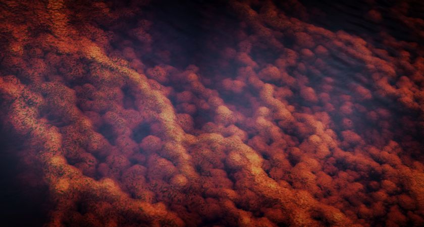 Bright orange splashes in nature