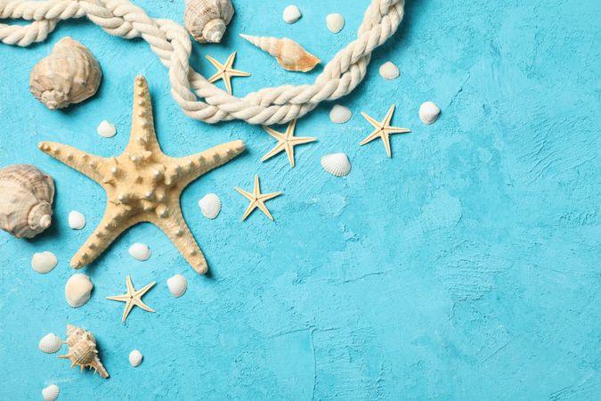 Starfish, rope and seashells on blue background, space for text