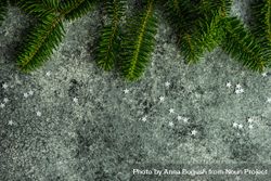 Pine branches and star glitter on concrete counter 4dngQ0