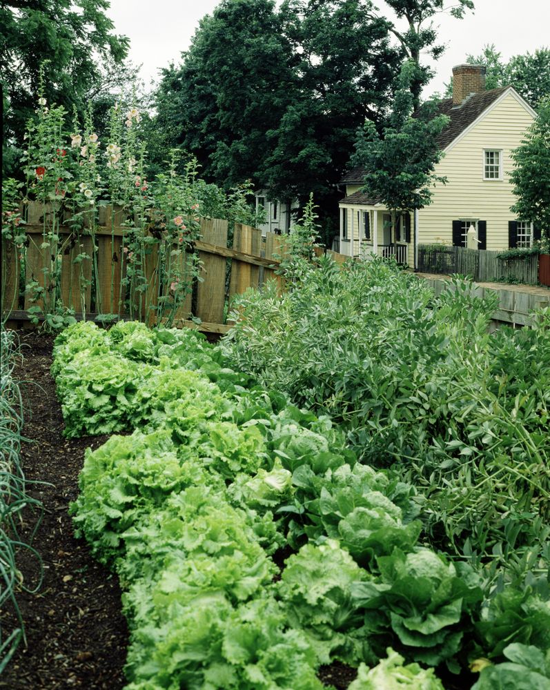 Garden, Old Salem, North Carolina