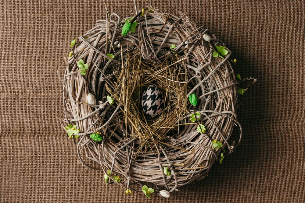 Decorated Easter egg in bird nest