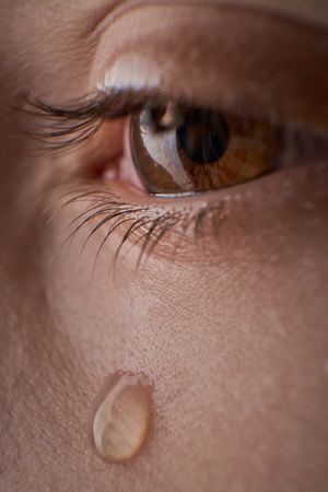 Eye of unrecognizable discontent kid with tear