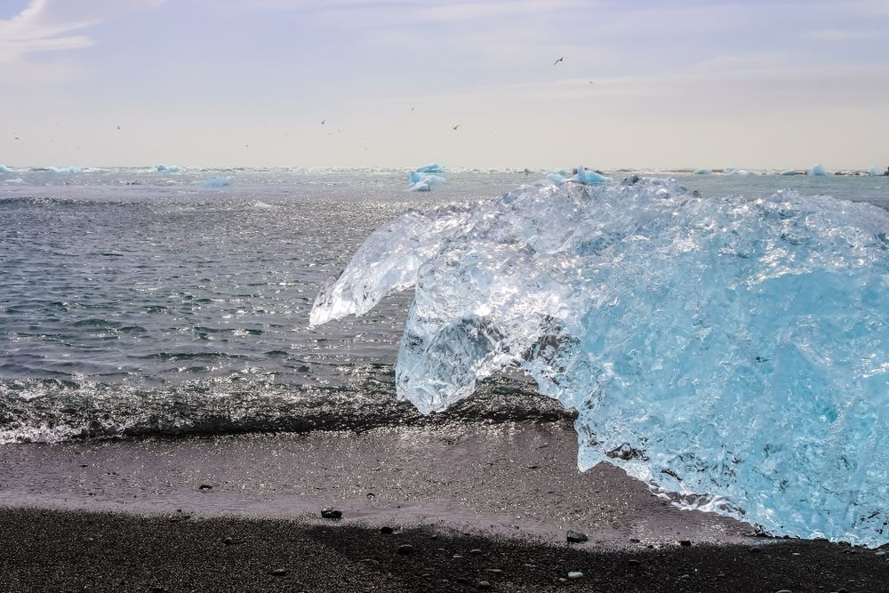Diamond Beach in Iceland with blue icebergs melting on sand and ice glistening with sunlight.