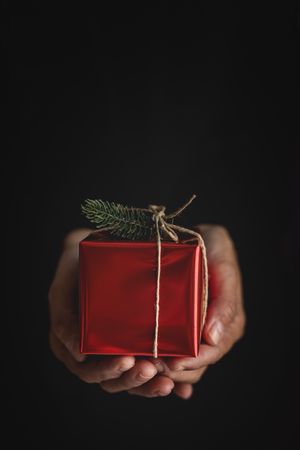 Crop person showing Christmas gift