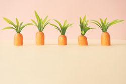 Row of carrots on pastel yellow background