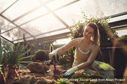 Female worker gardening in greenhouse bYPkg4