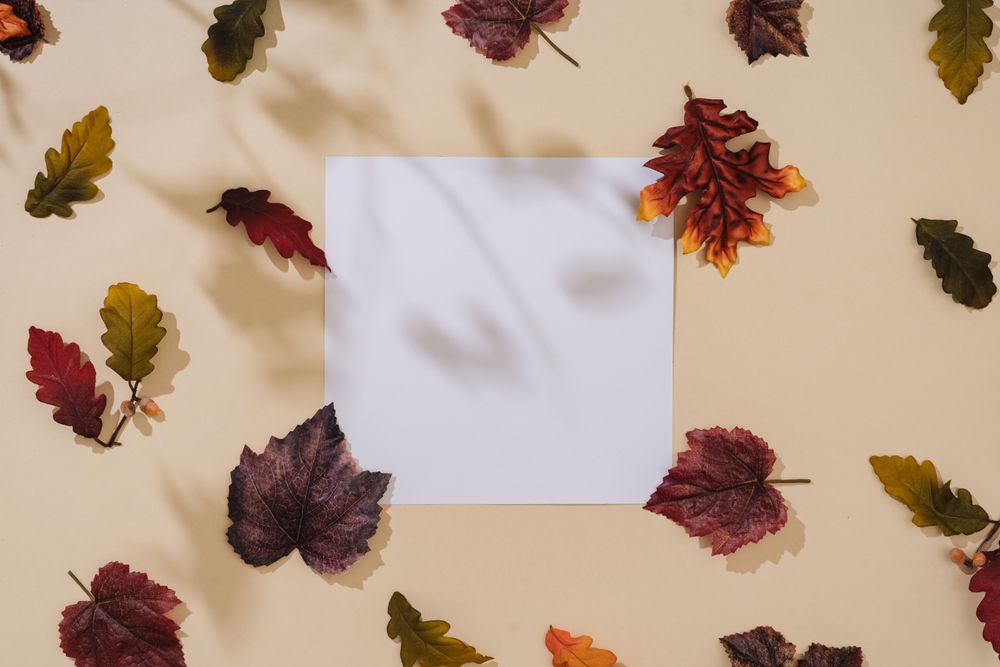 Fall leaves and shadows on sand pastel background with square paper