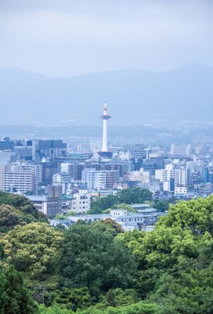 View of forest and modern city