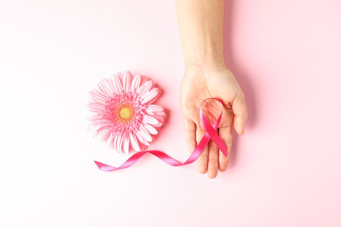 Female hand with pink awareness ribbon and gerbera color background