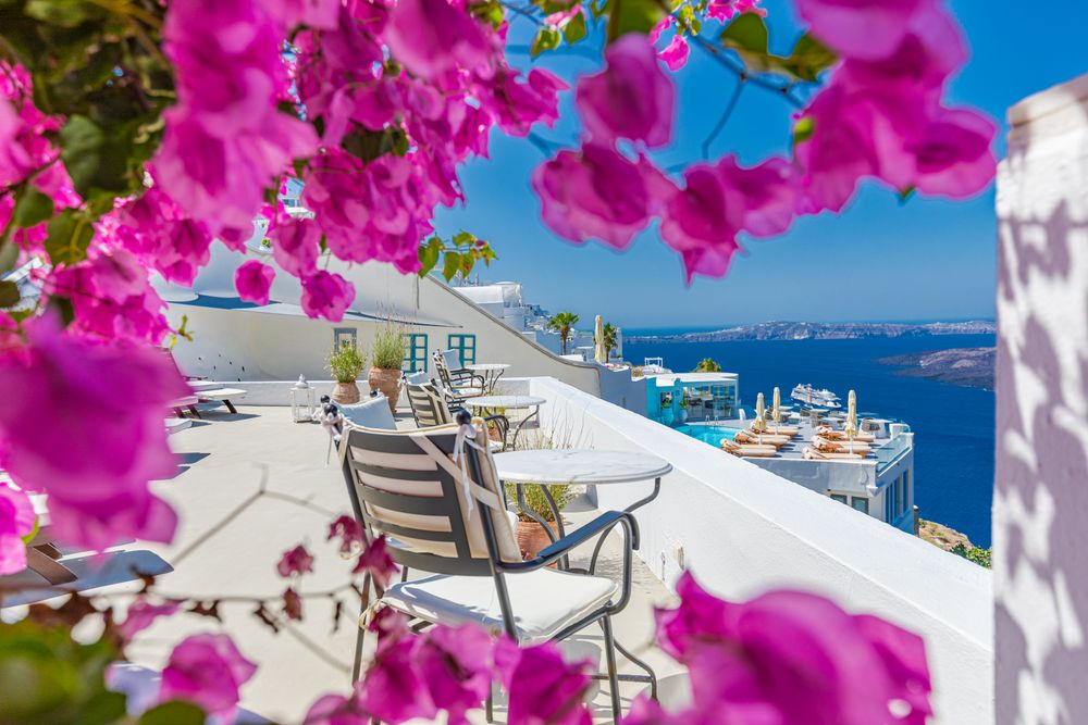 Pink flowers framing a relaxing place to sit with a view of the sea