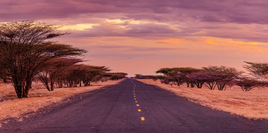 Kenya East Africa Landscapes Kalokol Lodwar Town Turkana Sunset Sunrise Highway Road Field Travels