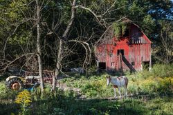 A horse and farm scene in Parke County, Indiana DbG6l4