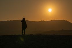 Traveler on field in sunset light